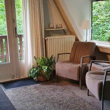 Chalet Gezellige Met Zwembad Op Het Park
