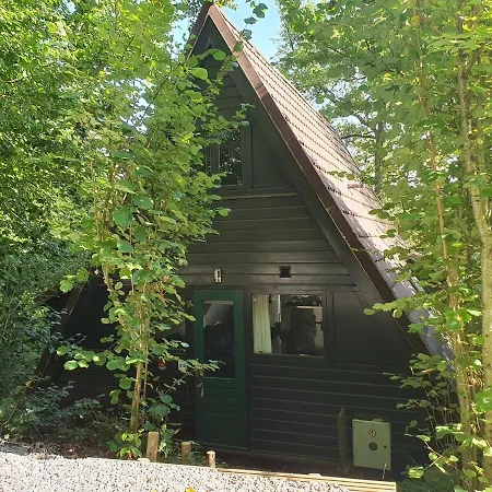 Alpehytte Boshuisje Met Zwembad Op Het Park