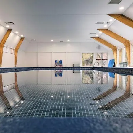 Boshuisje Met Zwembad Op Het Park *