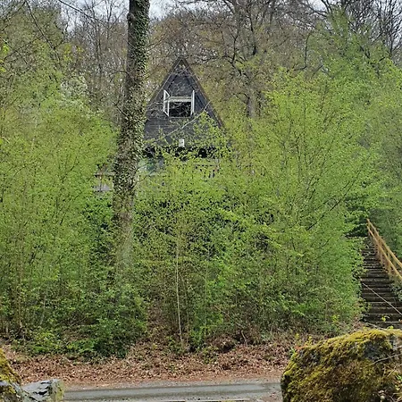 Boshuisje Met Zwembad Op Het Park 샬레 더뷔