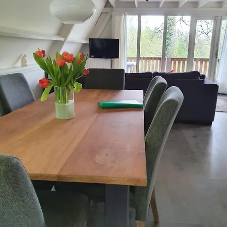 Boshuisje Met Zwembad Op Het Park