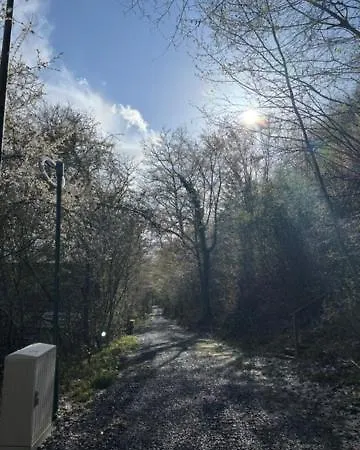 Boshuisje Met Zwembad Op Het Park Шале