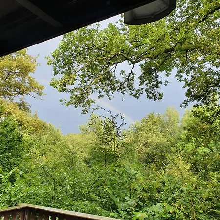 Boshuisje Met Zwembad Op Het Park